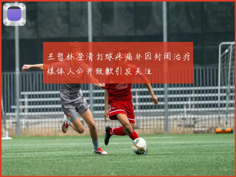 王哲林澄清打球疼痛非因封闭治疗媒体人公开致歉引发关注