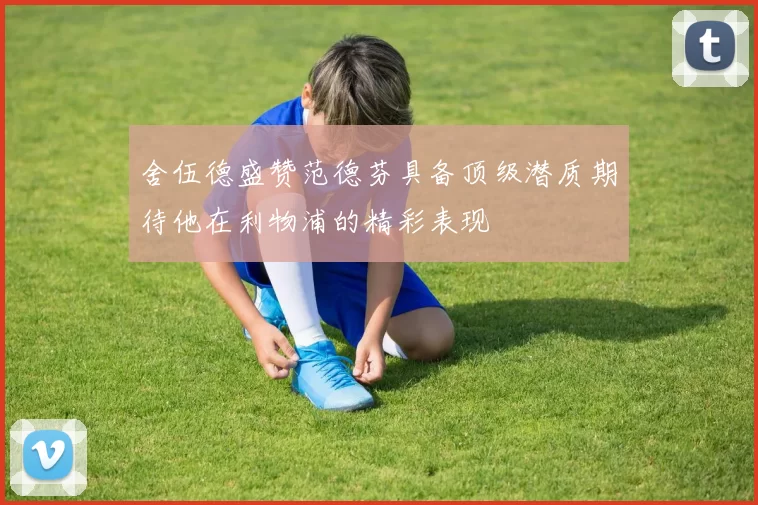 舍伍德盛赞范德芬具备顶级潜质期待他在利物浦的精彩表现